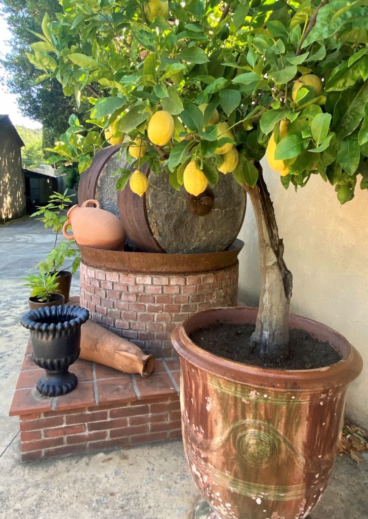 Anduze Vase mit Zitronen