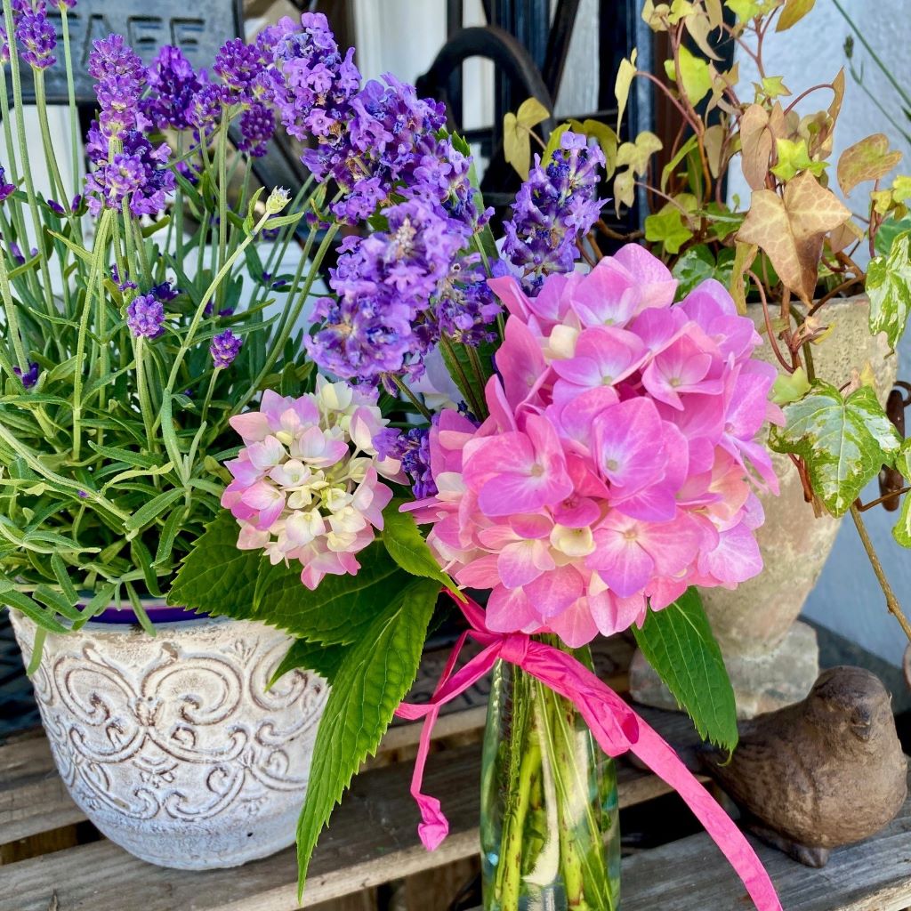 lavendel im topf und in kleiner vase als deko für sommerfest